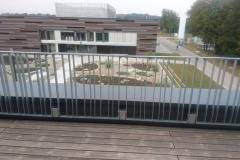 Gelaender08